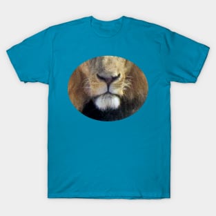 Lion Oval T-Shirt